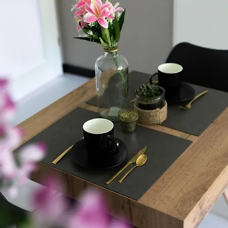 Luxury With King Size Bed 3* Дордрехт